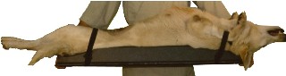 Veterinary Surgi-Form M3